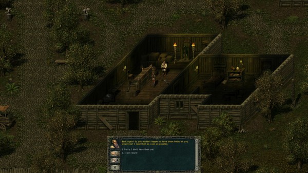 Divine Divinityfor windows and Linux 1