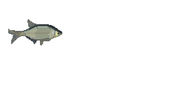 King Of Water Logo