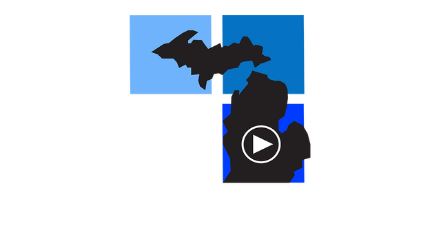 MITTIN: Clean Flat Surfaces Logo