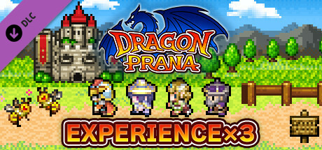 Experience x3 - Dragon Prana cover art