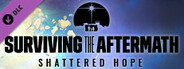 Surviving the Aftermath: Shattered Hope