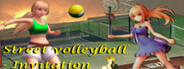 Street volleyball - Invitation System Requirements