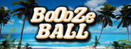 BoozeBall System Requirements