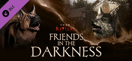 Sker Ritual - Friends in the Darkness cover art