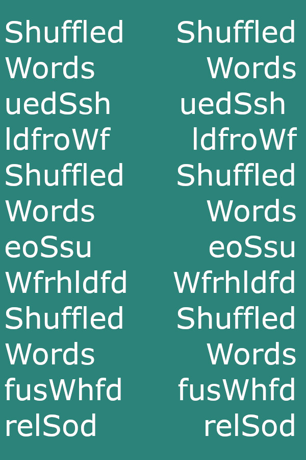 Steam portrait for Shuffled Words.