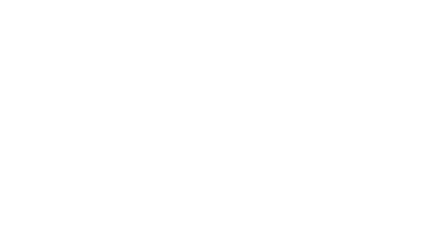 BIRDCAGE Logo