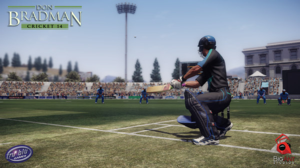 Don Bradman Cricket 14 minimum requirements