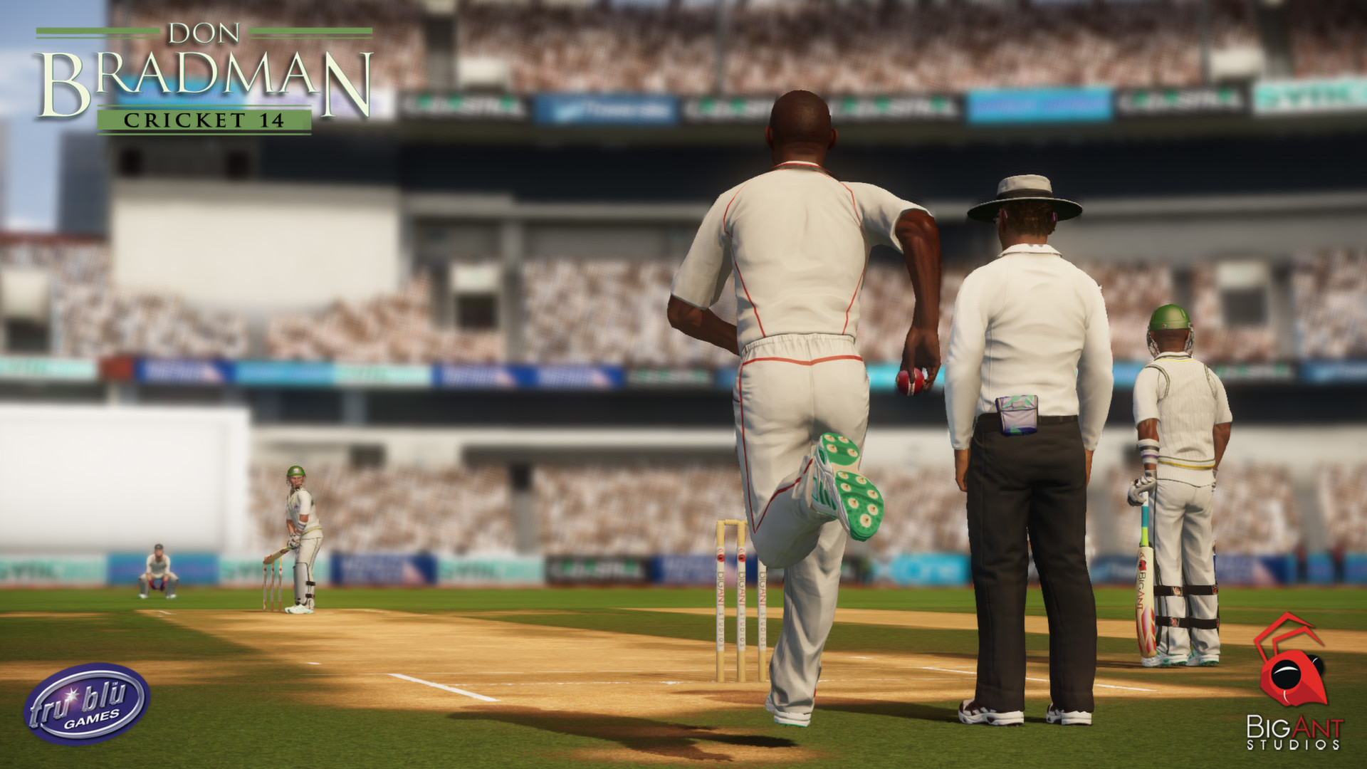 Don Bradman Cricket 14 on Steam