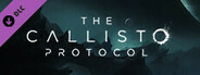 The Callisto Protocol - Radeon Skin