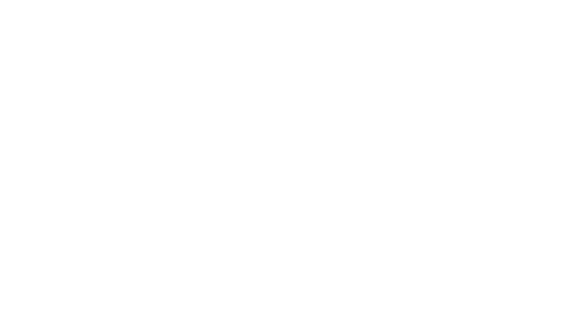 Sally Logo