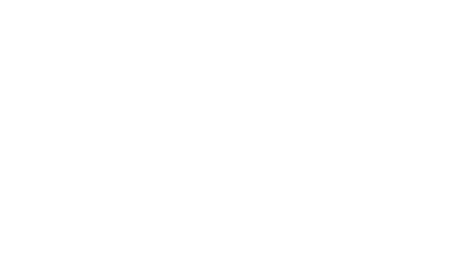 The Senex Bird Logo