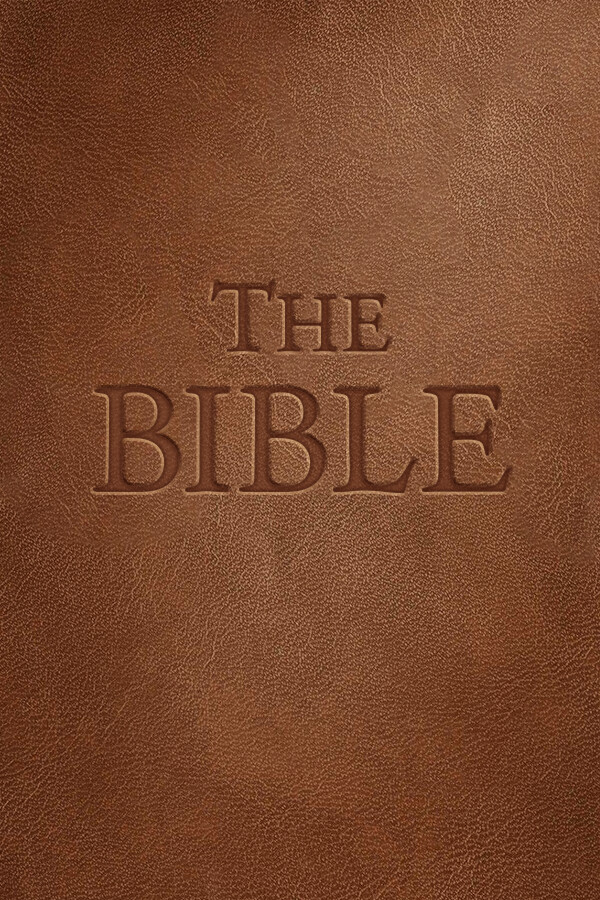 Steam portrait for The Bible.