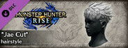 Monster Hunter Rise - "Jae Cut" hairstyle