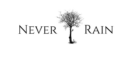 Never Rain cover art