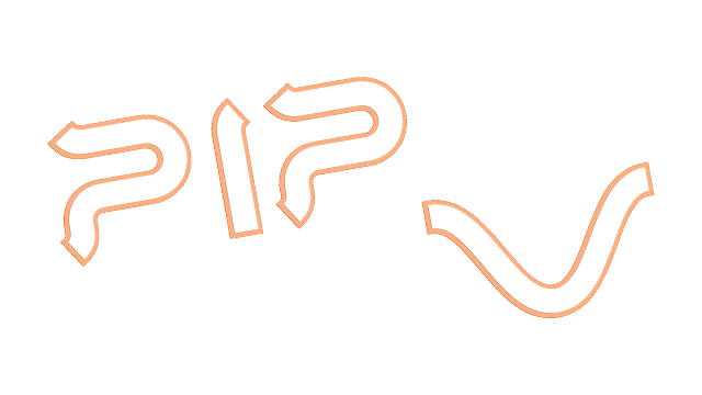 PIP 5 Logo