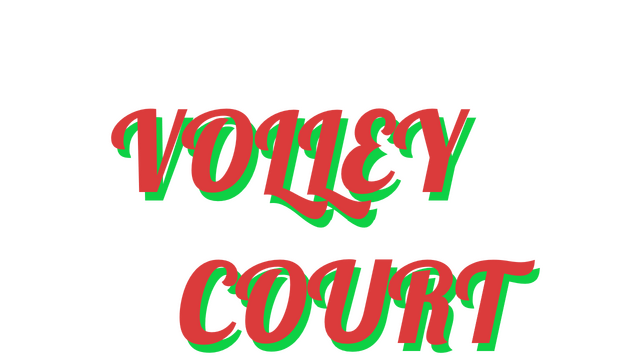 Volley Court Logo