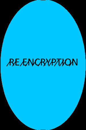 RE Encryption