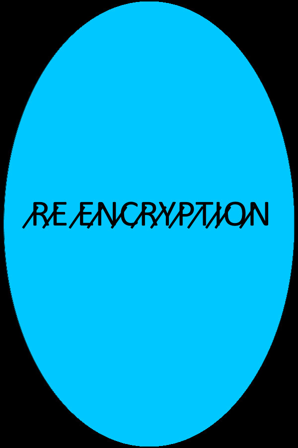 RE Encryption cover art