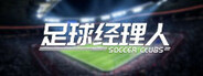 Soccer Clubs System Requirements