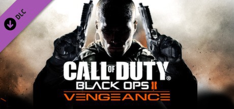 Black Ops 2 Steam Key