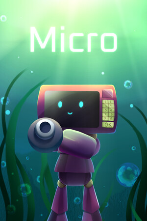 Micro Micro