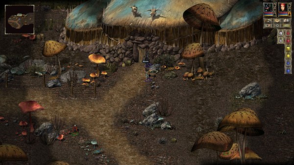 Beyond Divinity game for Linux 1