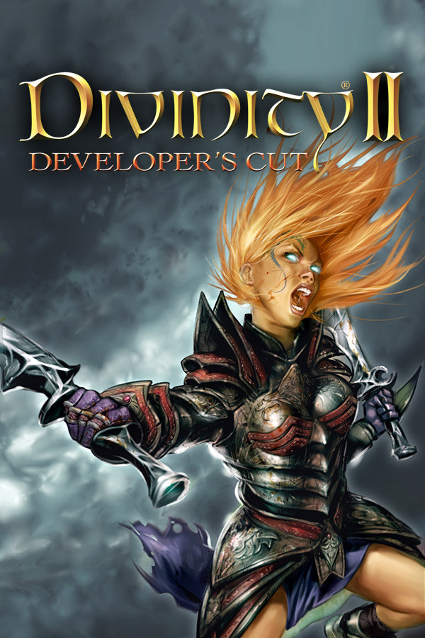 Divinity II: Developer's Cut for steam