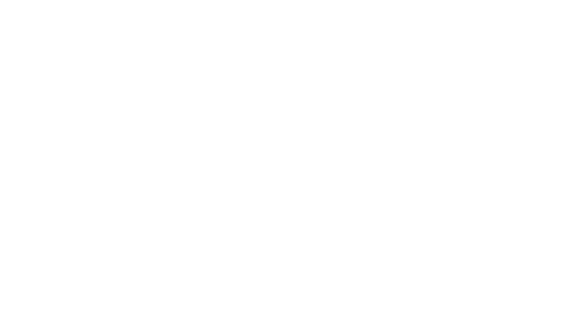 Star-Crosst Logo