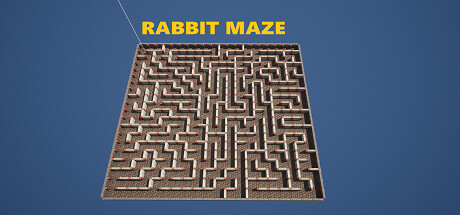 Rabbit Maze cover art