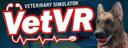 VetVR Veterinary Simulator System Requirements