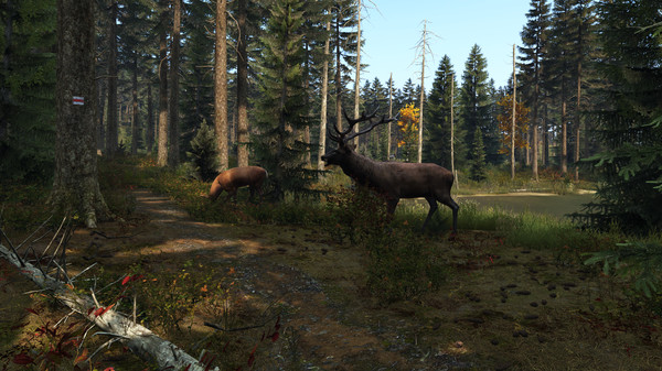 DayZ CD Key 1