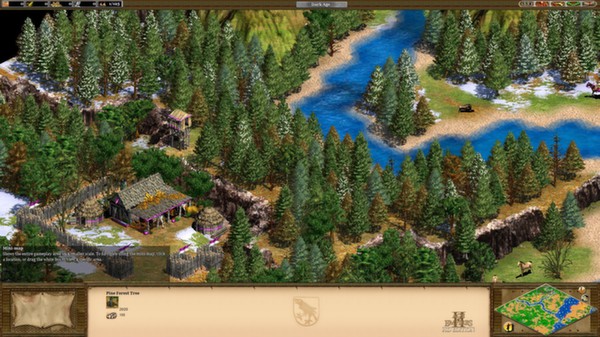 Age of Empires II (2013) game for Linux 1