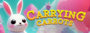 Carrying Carrots System Requirements