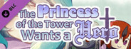 The Princess of the Tower Wants a Hero - Unique Artbook