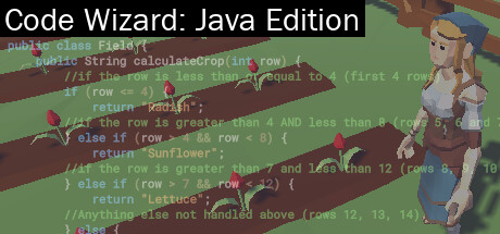 Code Wizard: Java Edition cover art