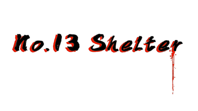 No13Shelter Logo