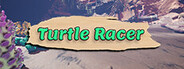 Turtle Racer System Requirements