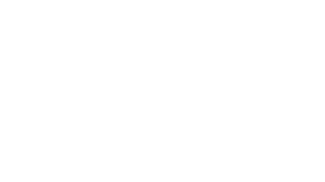 Race Code Logo
