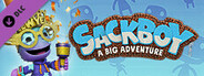 Sackboy™: A Big Adventure - New Year's Eve Costume