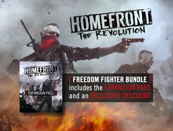 Steam Homefront The Revolution