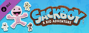 Sackboy™: A Big Adventure - Celebrations Emote Pack