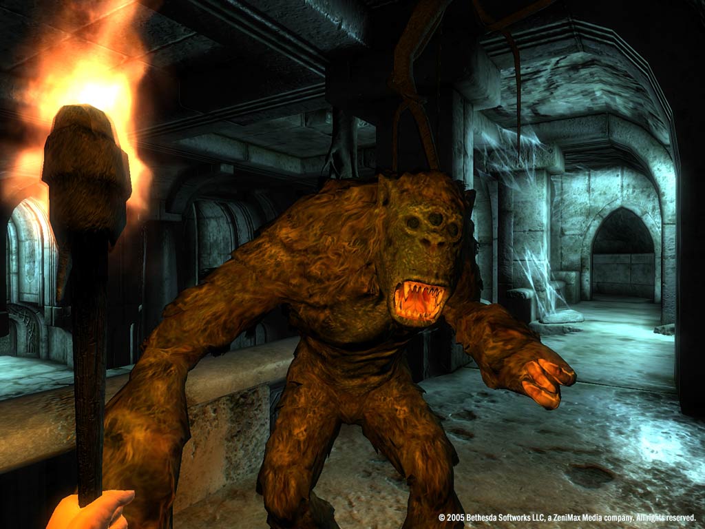 The Elder Scrolls IV: Oblivion Game of the Year Edition screenshot