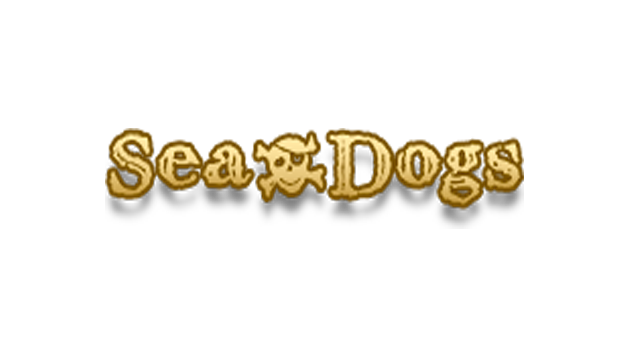 Sea Dogs: To Each His Own - Pirate Open World RPG - Steam Backlog