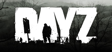 DayZ Server cover art