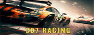 307 Racing System Requirements