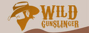 Wild Gunslinger
