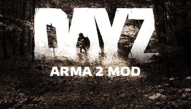 how to install dayz arma 2