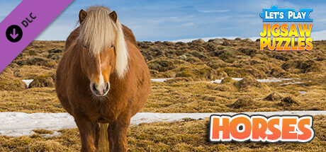 Let's Play Jigsaw Puzzles: Horses cover art