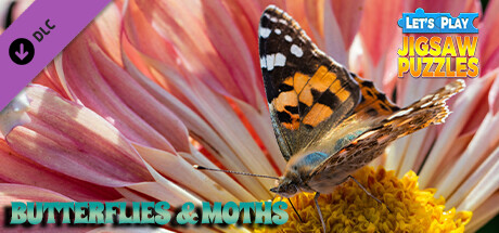 Let's Play Jigsaw Puzzles: Butterflies & Moths cover art