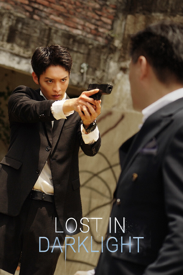 逆光迷途 Lost in Darklight for steam